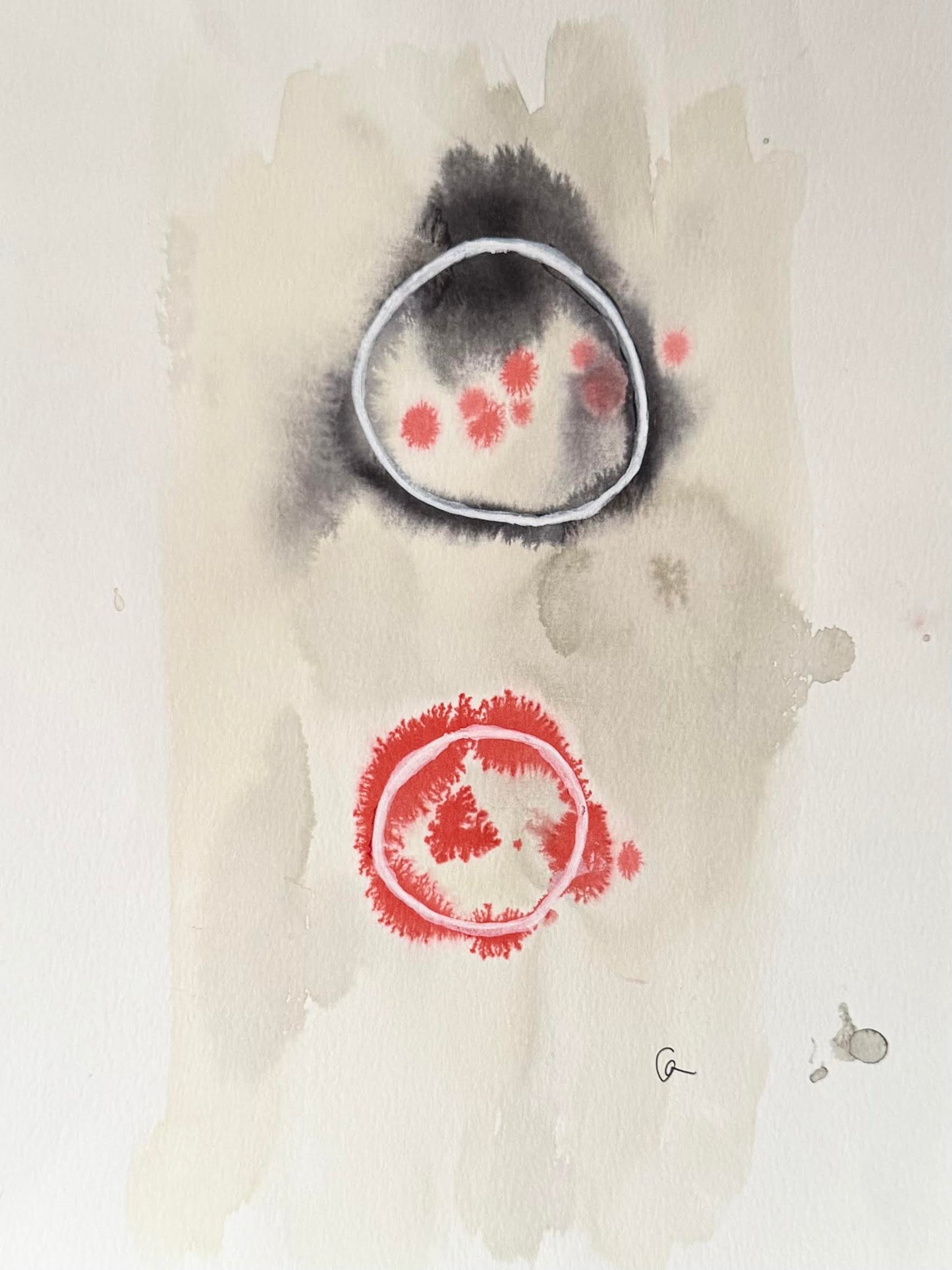 apoptosis 13