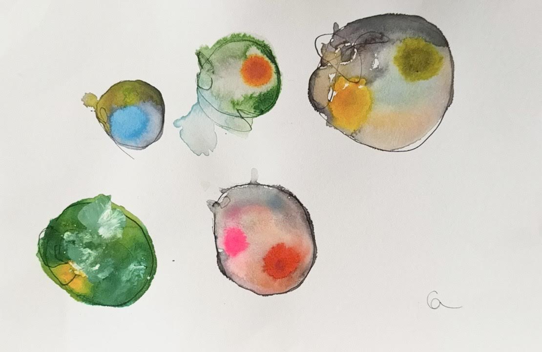 macrophages 1