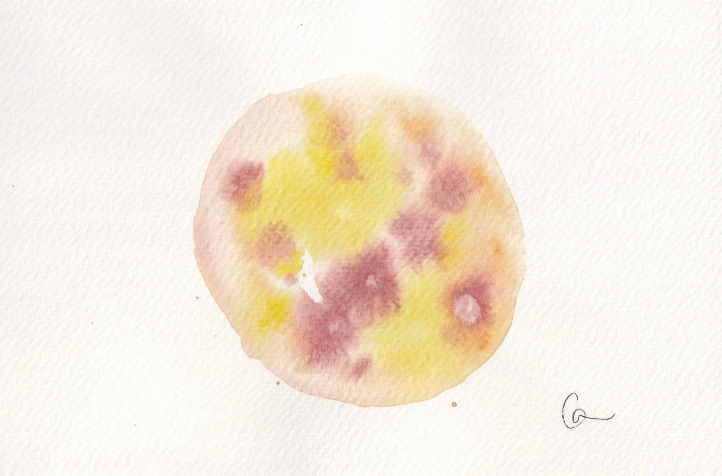 nucleus 12