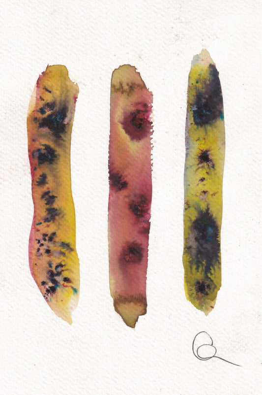 bloom 6