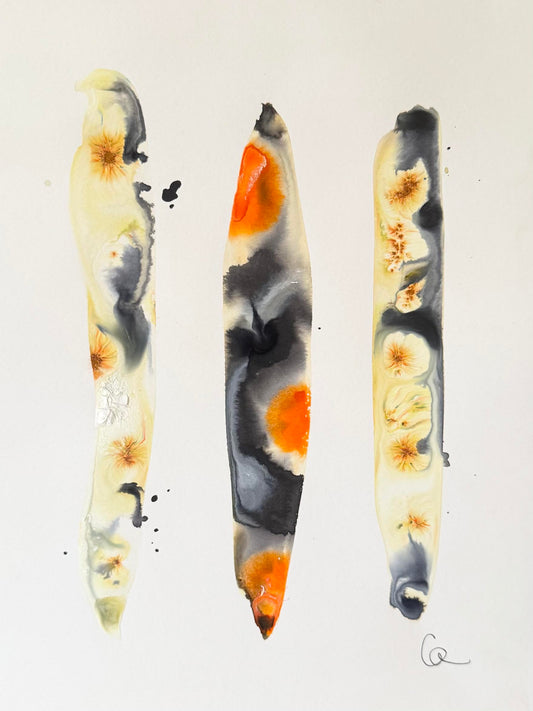 lymph 13
