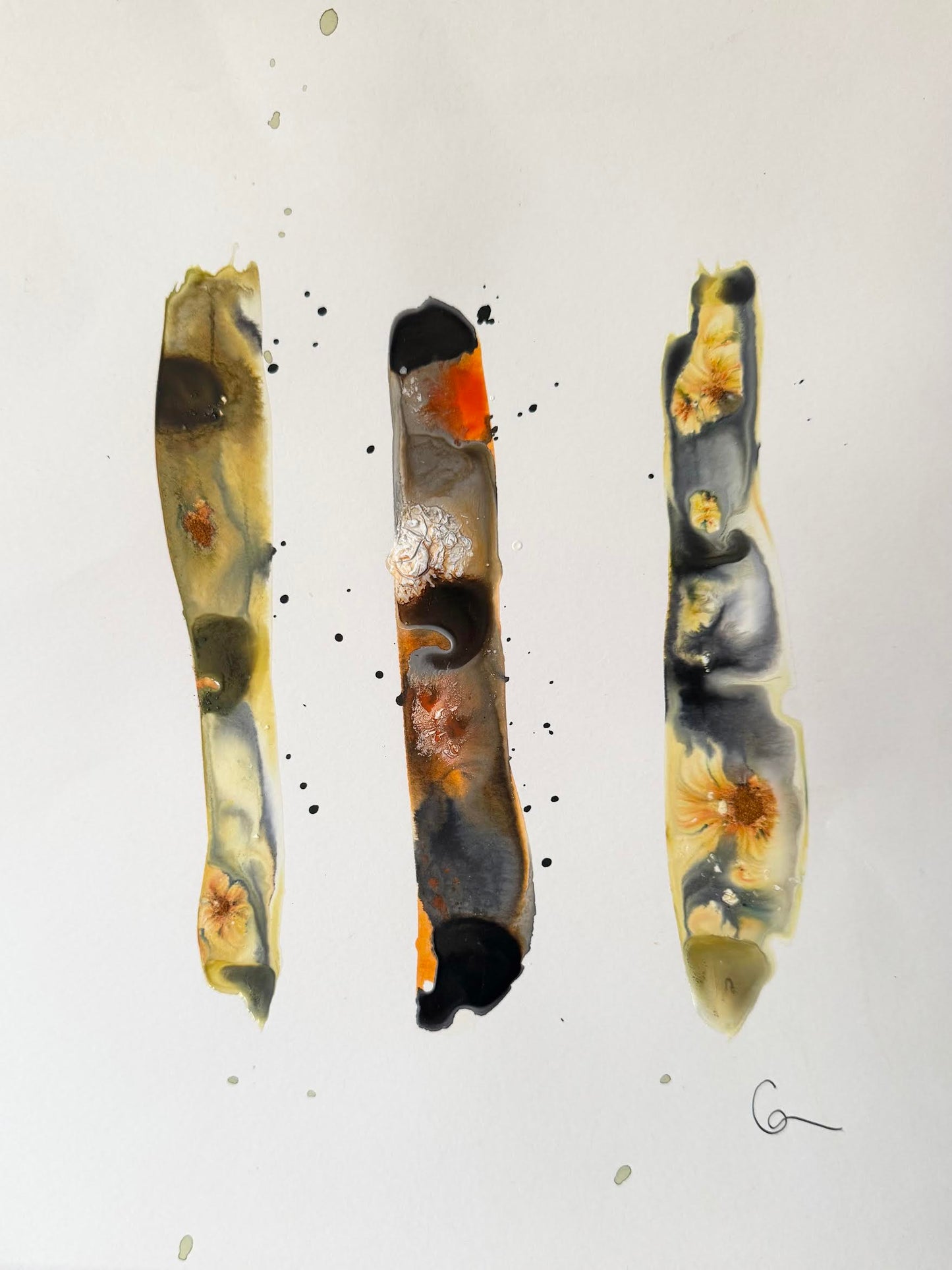 lymph 14