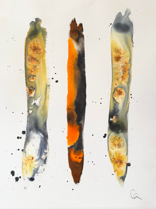 lymph 16