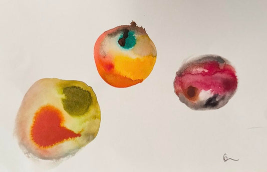 macrophages 6