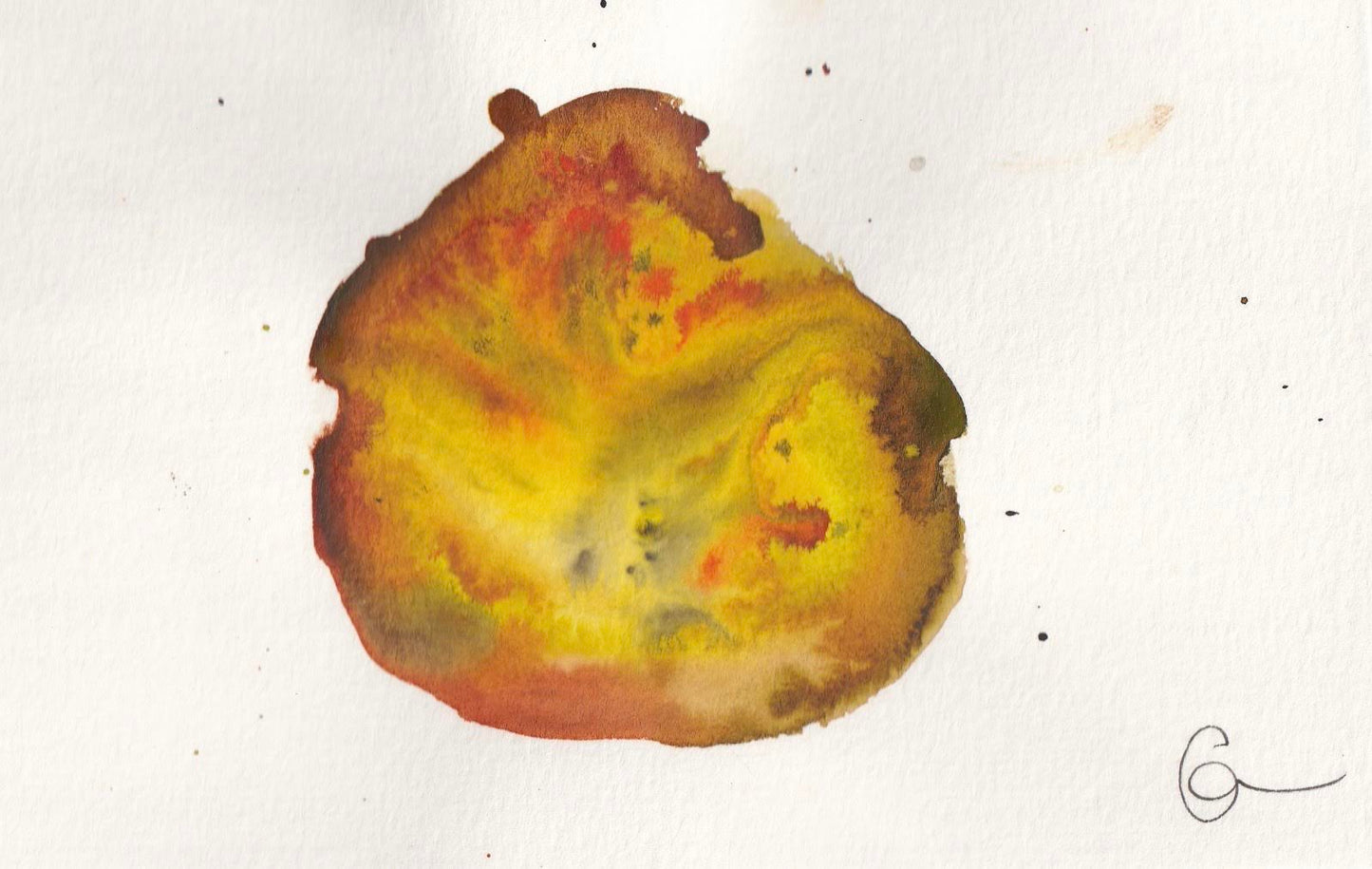 nucleus 1