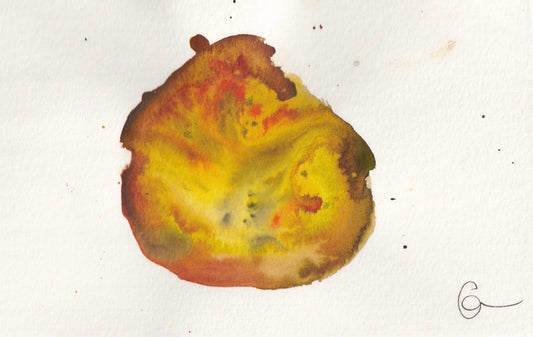 nucleus 1