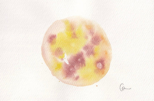 nucleus 12