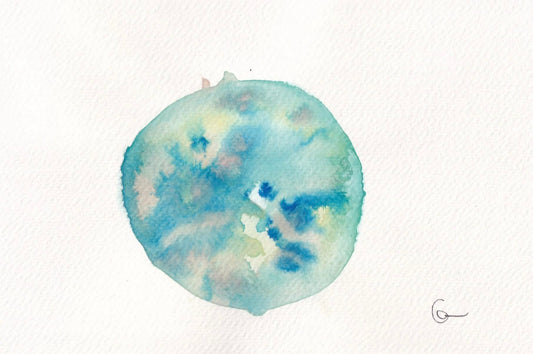 nucleus 13