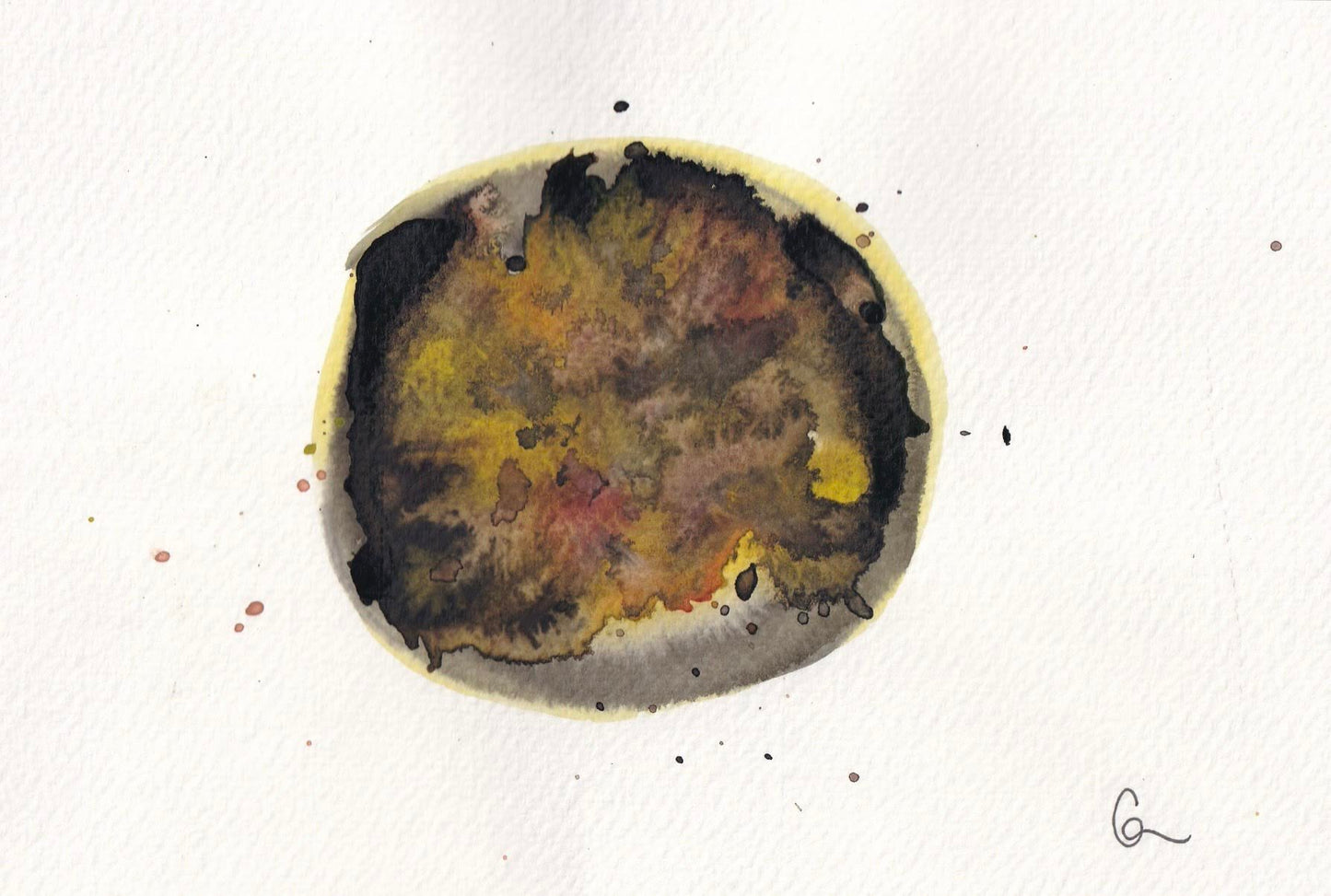 nucleus 6