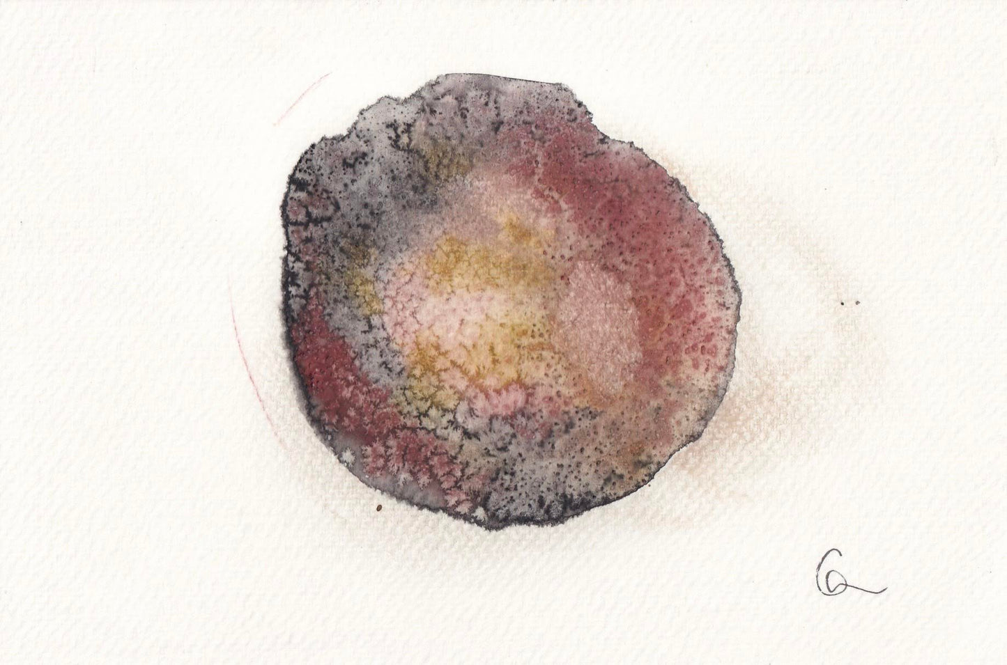 tactile 5