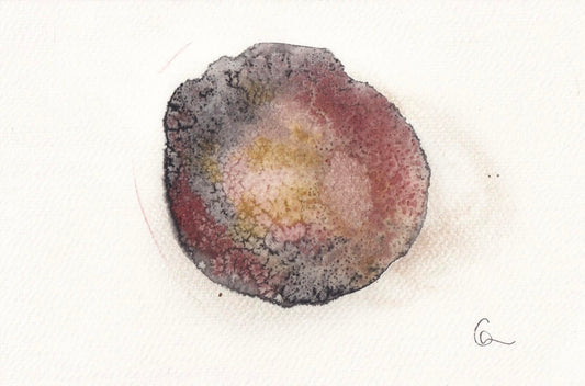tactile 5